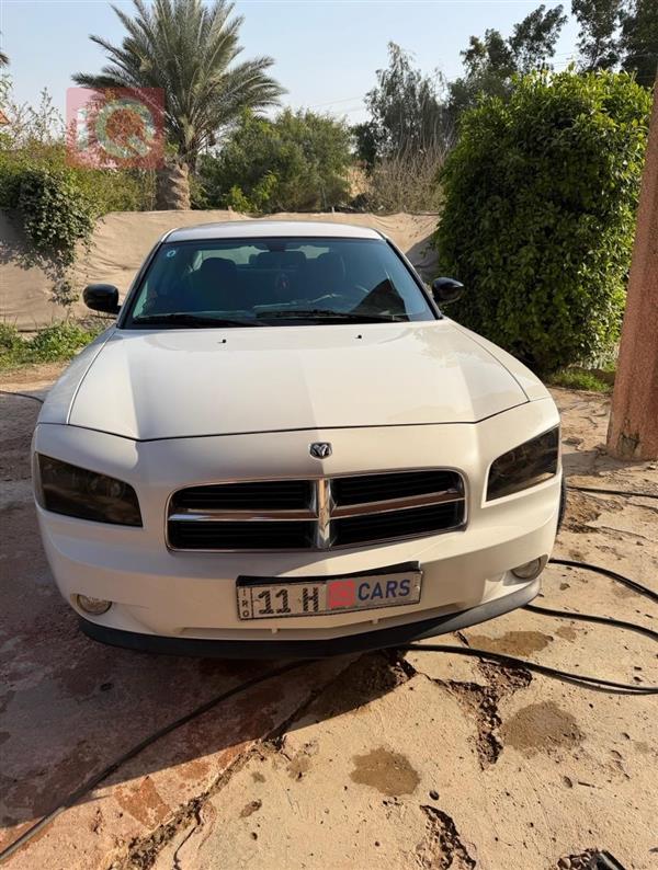 دۆج چارجەر 2010  بۆ فرۆشتن لە عێراق -  بەغداد